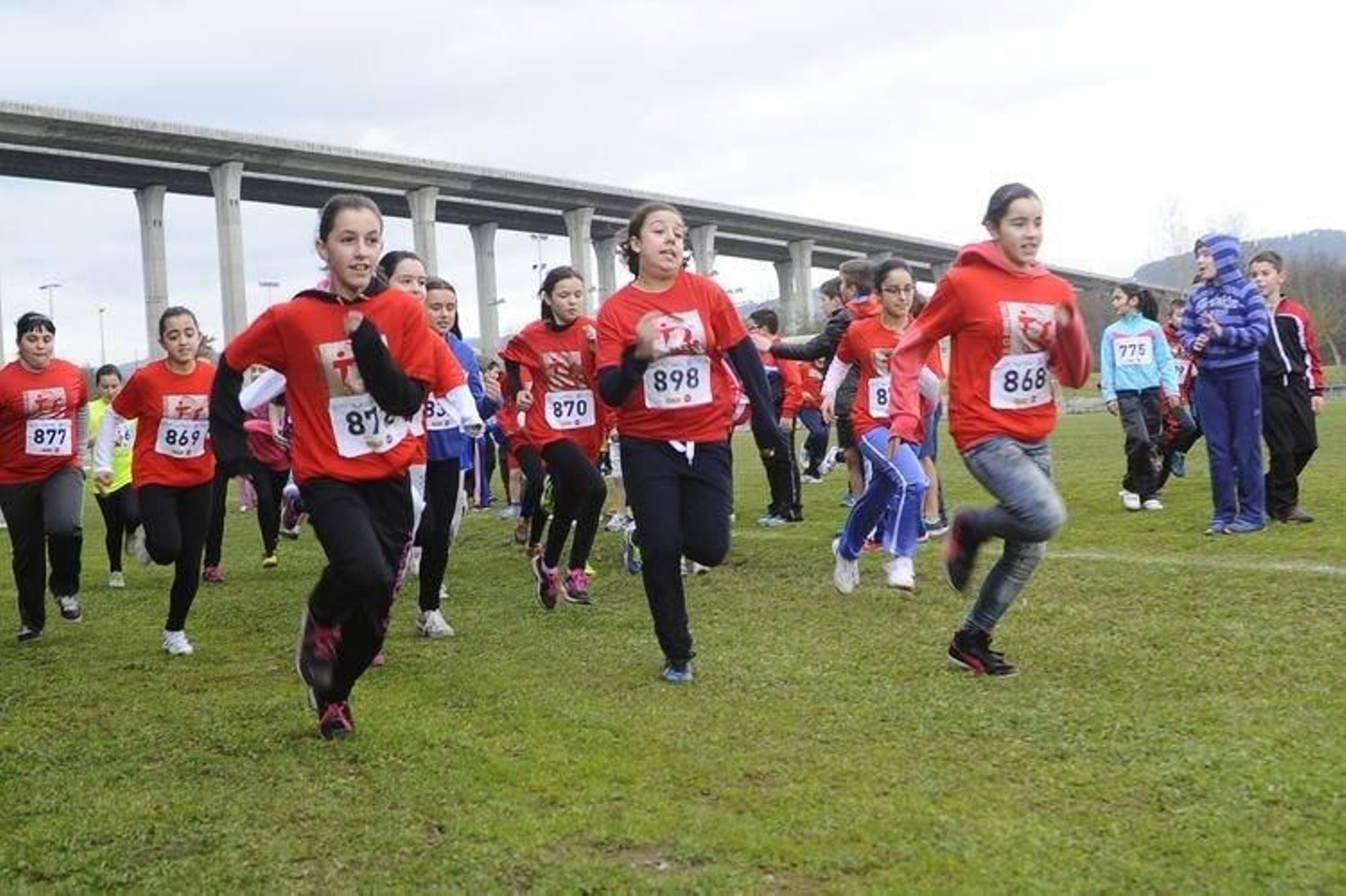 Cross escolar en O Xestal Ribadavia
13-1-15