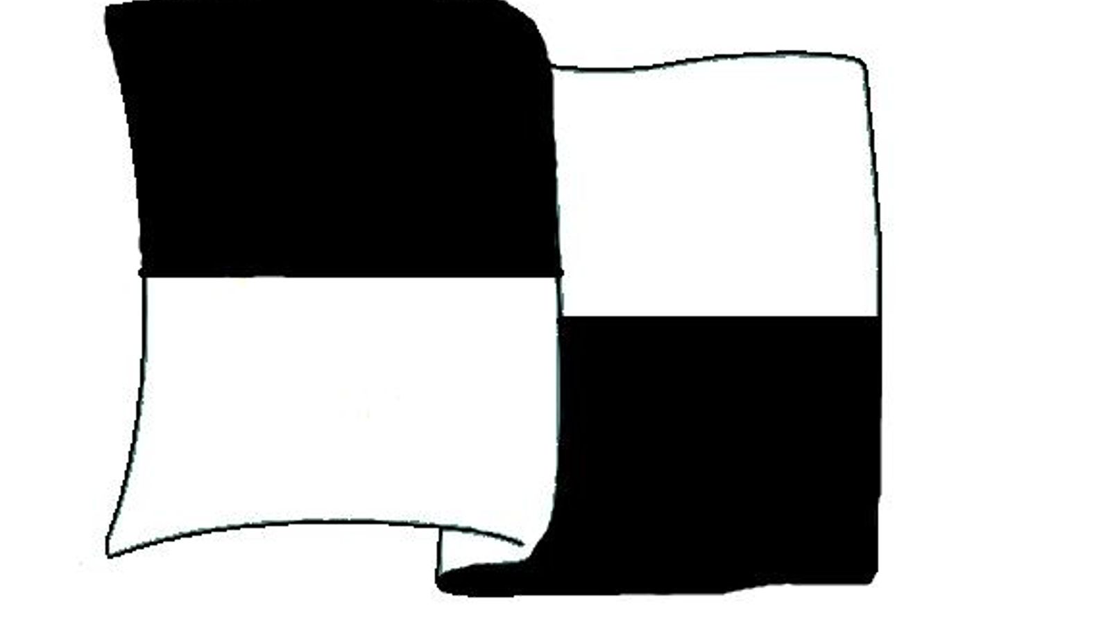 Bandera a cuadros blancos y negros