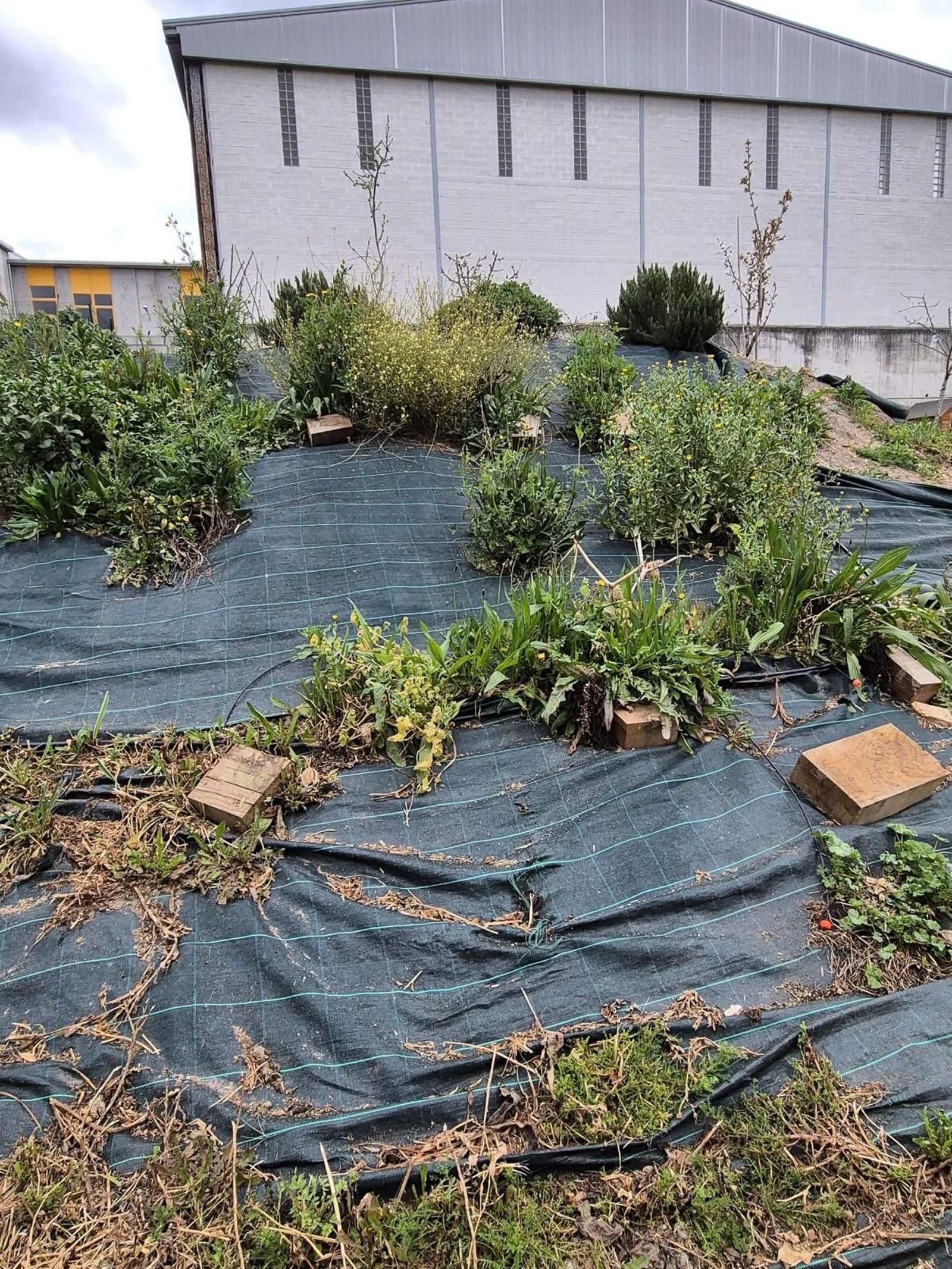 A natureza como mestra no Ruxidoiro