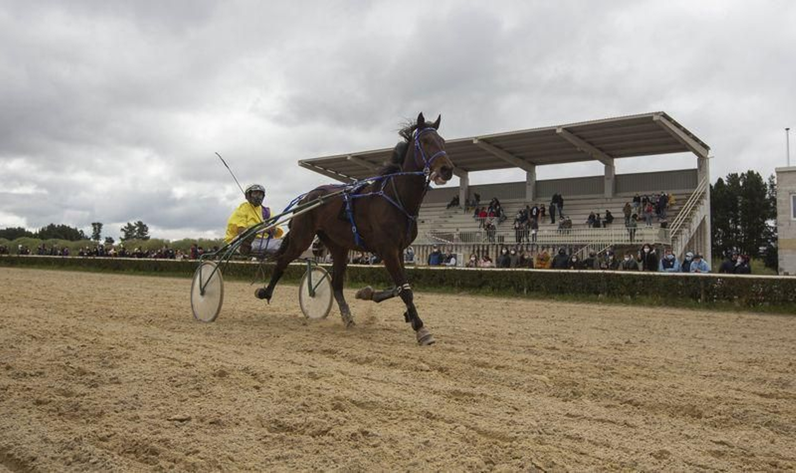 El hipódromo de Antela acogió la Copa Deputación de Hípica en modalidad de velocidad y trote en el hipódromo de Antela (Fotos: Xesús Fariñas)