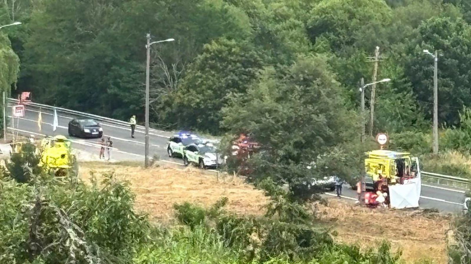 Los servicios de emergencia en el lugar del atropello