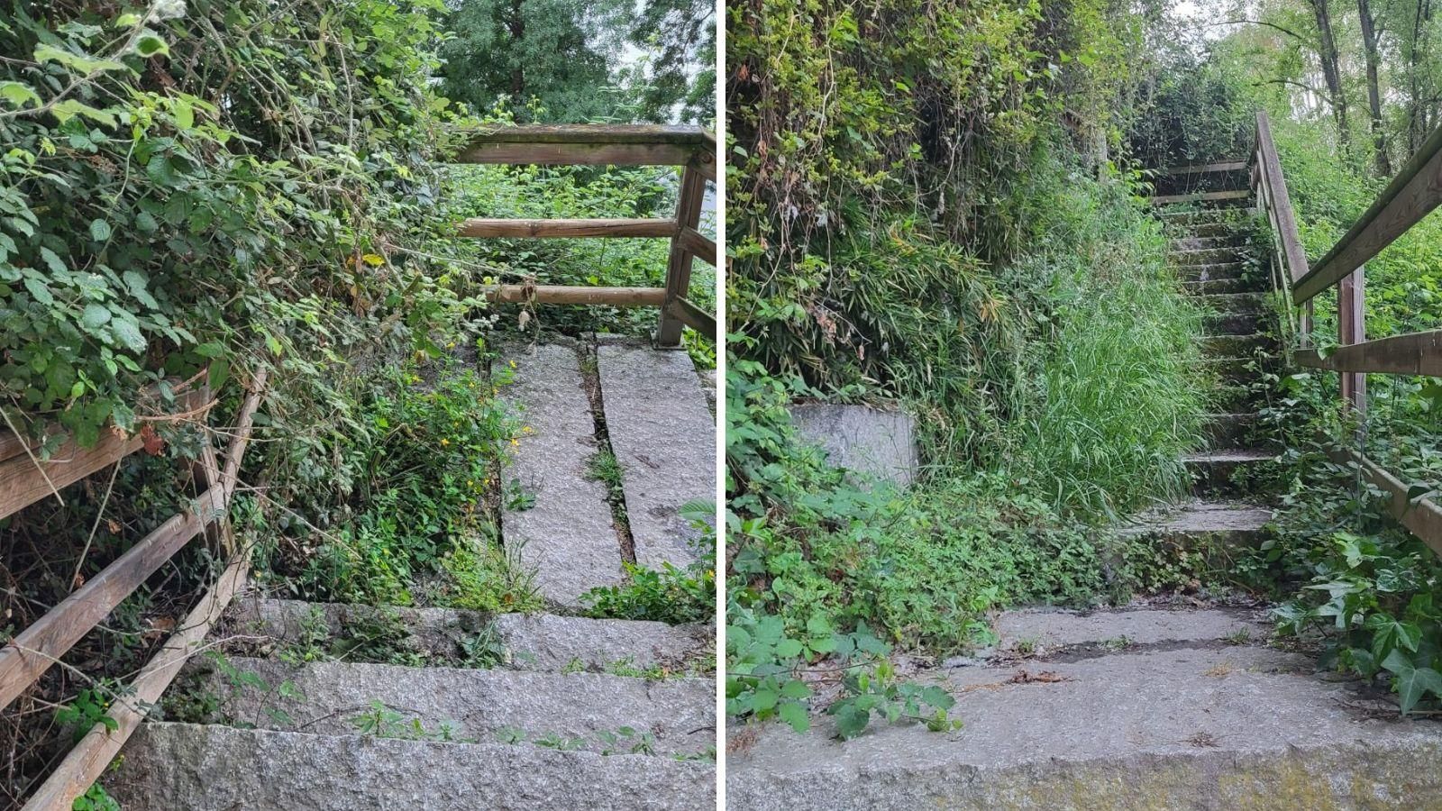 Nos come la selva