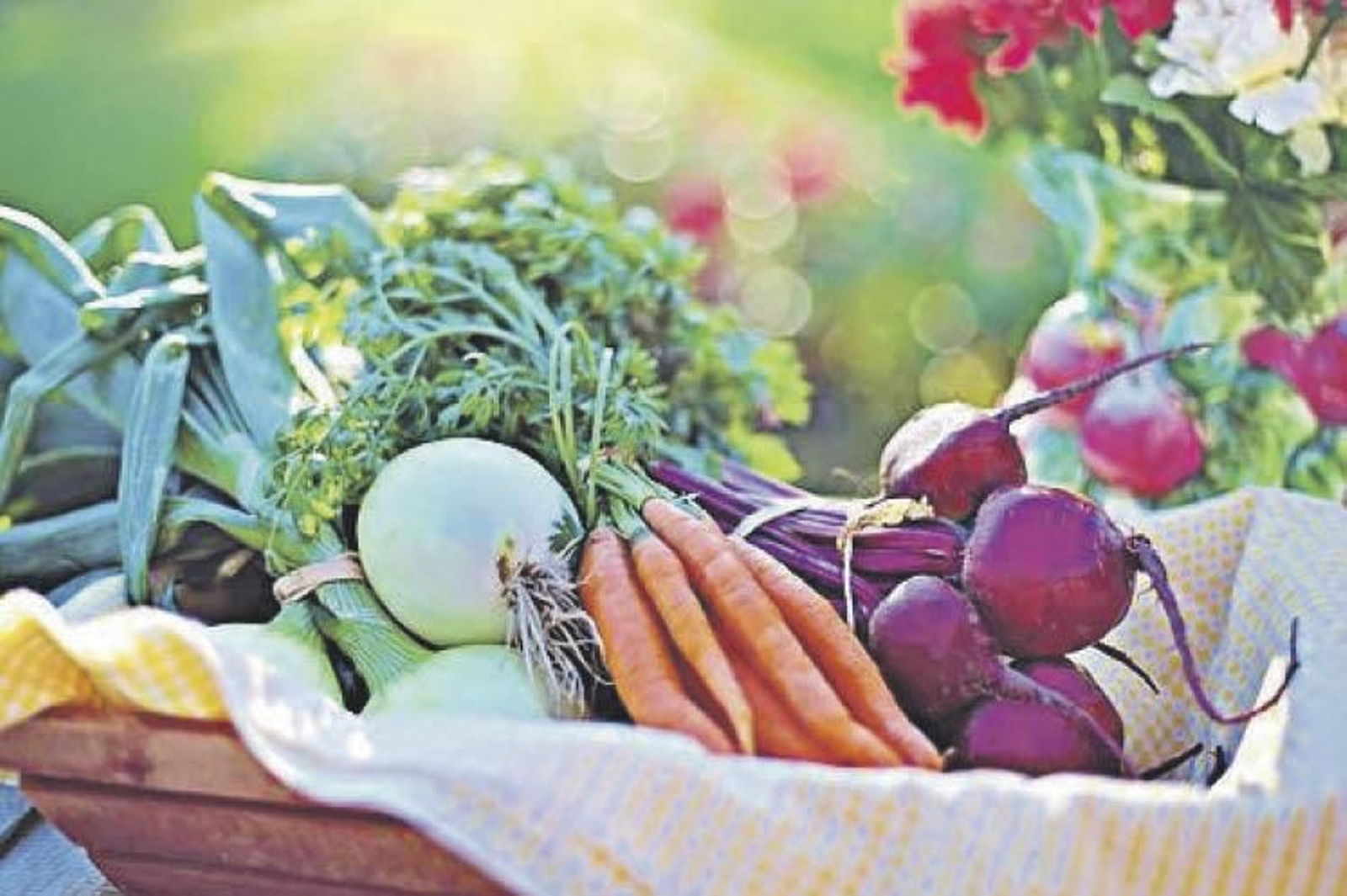 Las recetas con base de verduras y poca grasa facilitan la digestión.