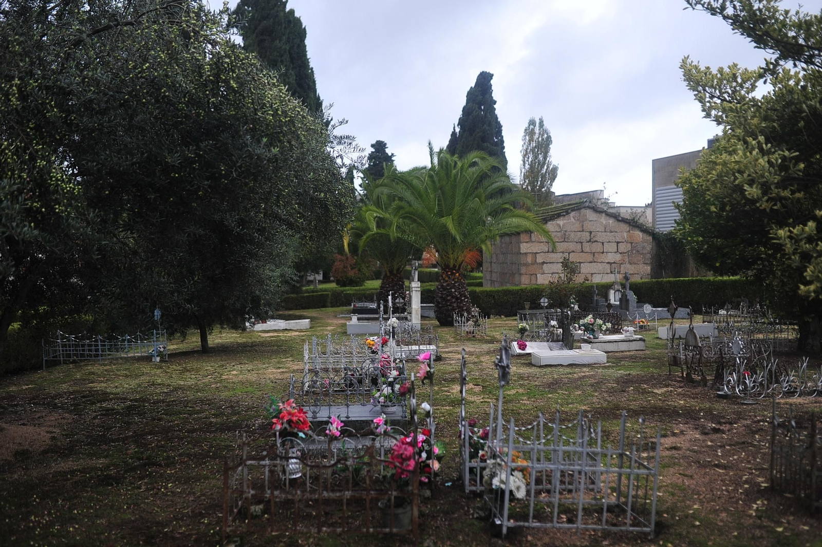 El aspecto del cementerio. José Paz
