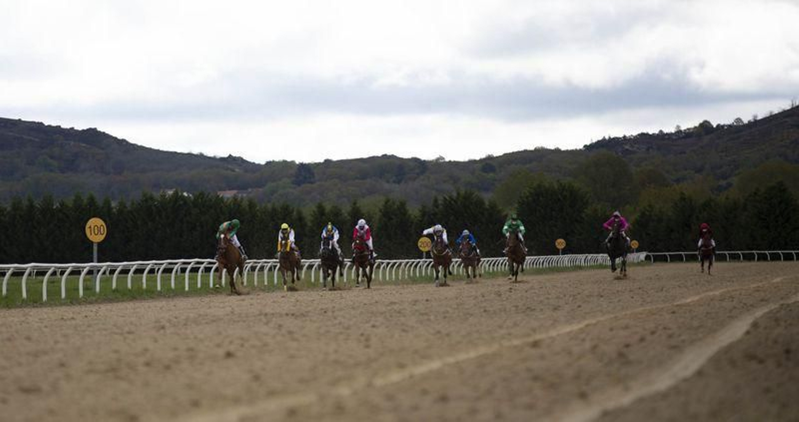 El hipódromo de Antela acogió la Copa Deputación de Hípica en modalidad de velocidad y trote en el hipódromo de Antela (Fotos: Xesús Fariñas)