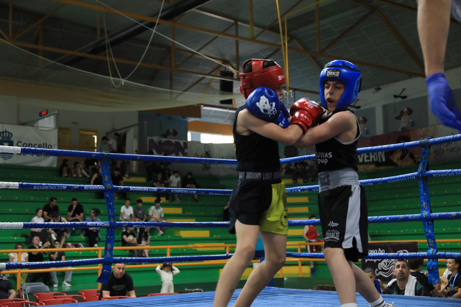 Galería | Verín disfruta de su primer Open de Boxeo