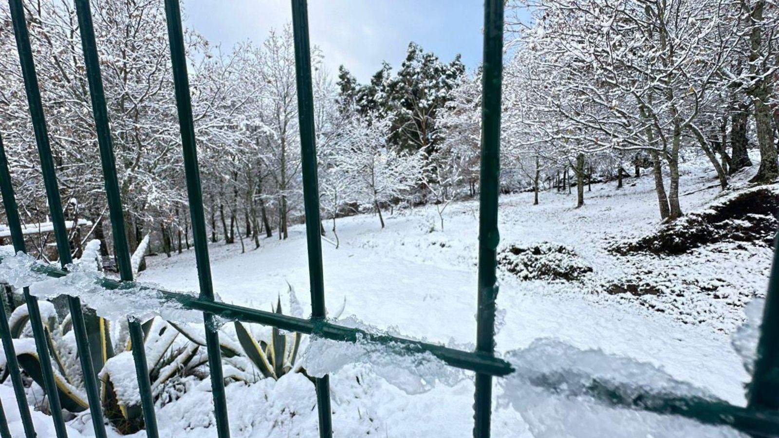 Galería | La nieve da la bienvenida al invierno en A Cañiza