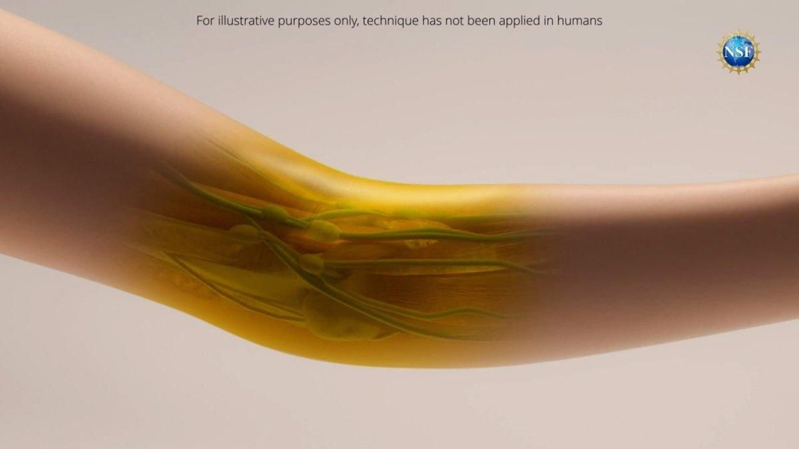 Simulación de cómo sería el tinte aplicado sobre la piel humana.