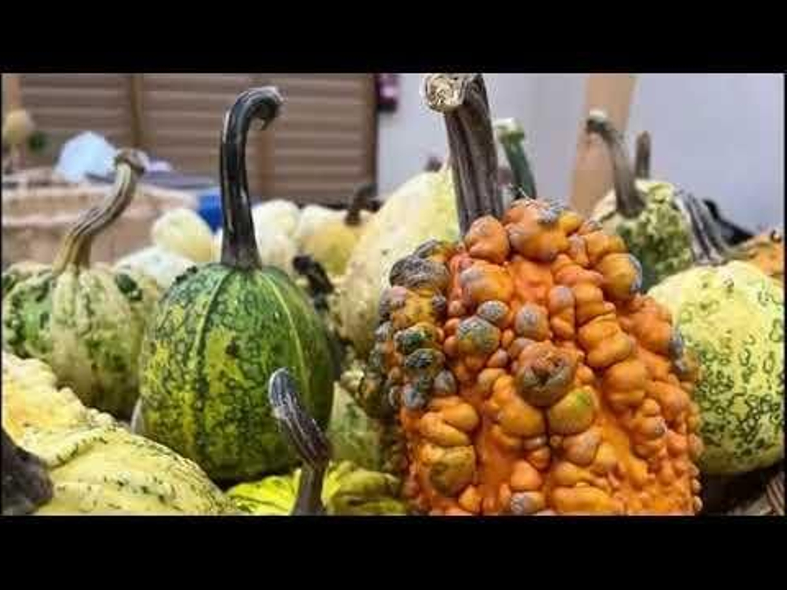 Allariz sacó a relucir sus productos de otoño 13.11.23