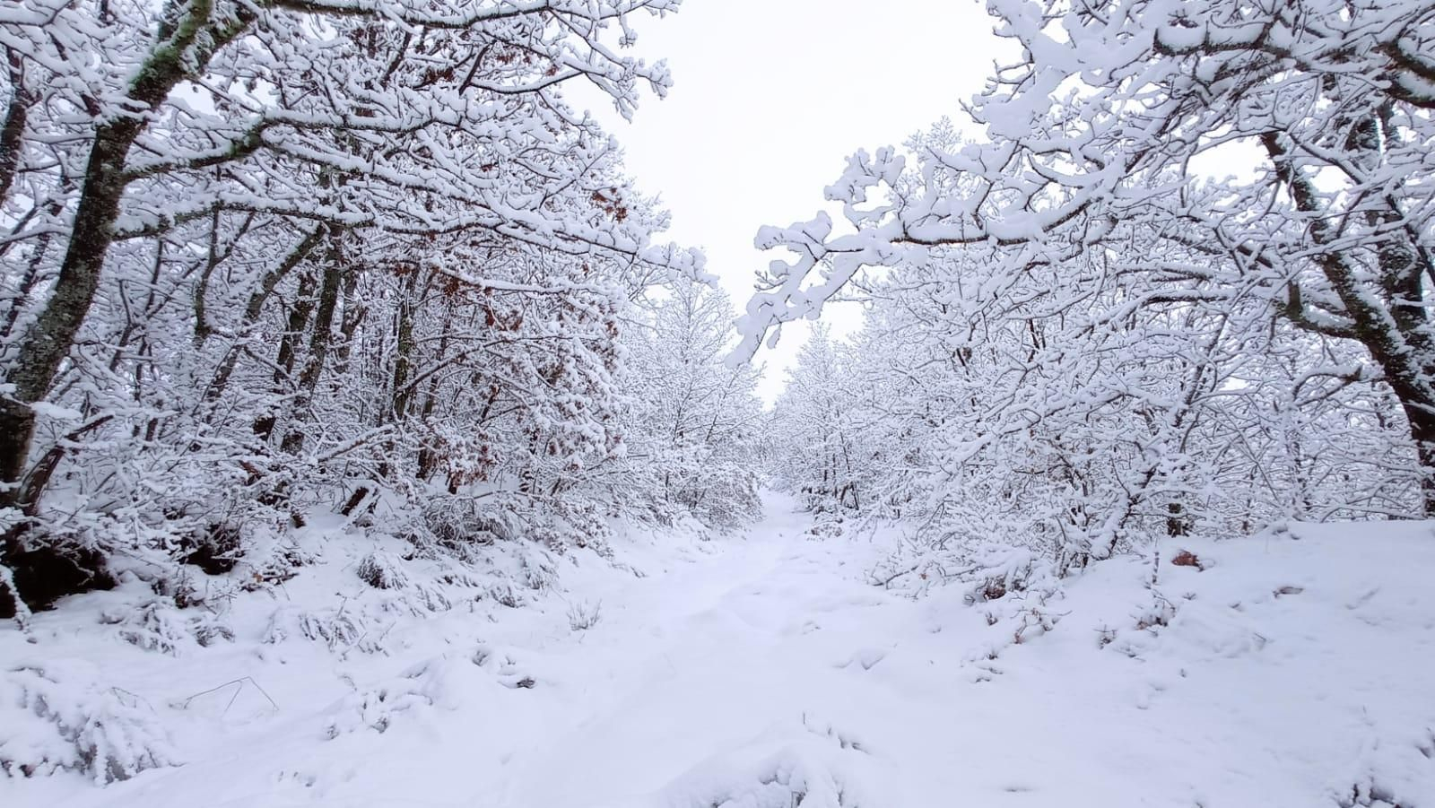 Nieve en Xares (A Veiga)
