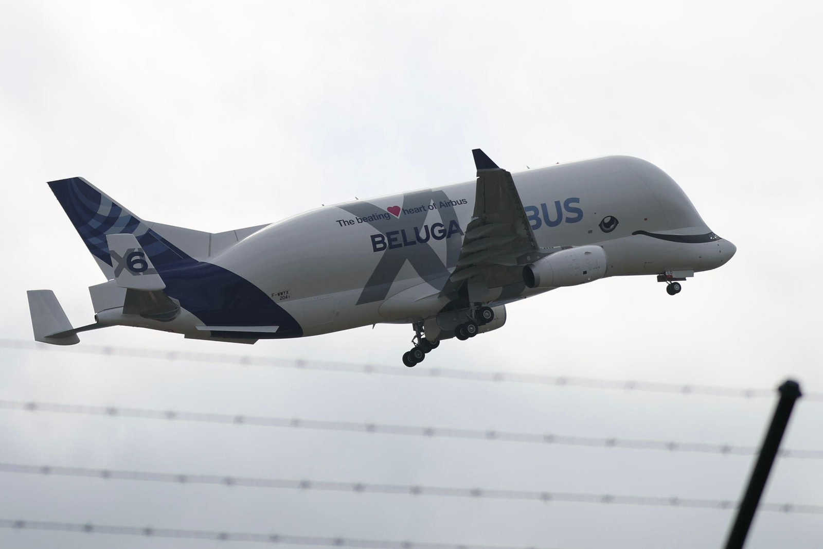 El avión Beluga sobrevolando Vigo. // Alberte