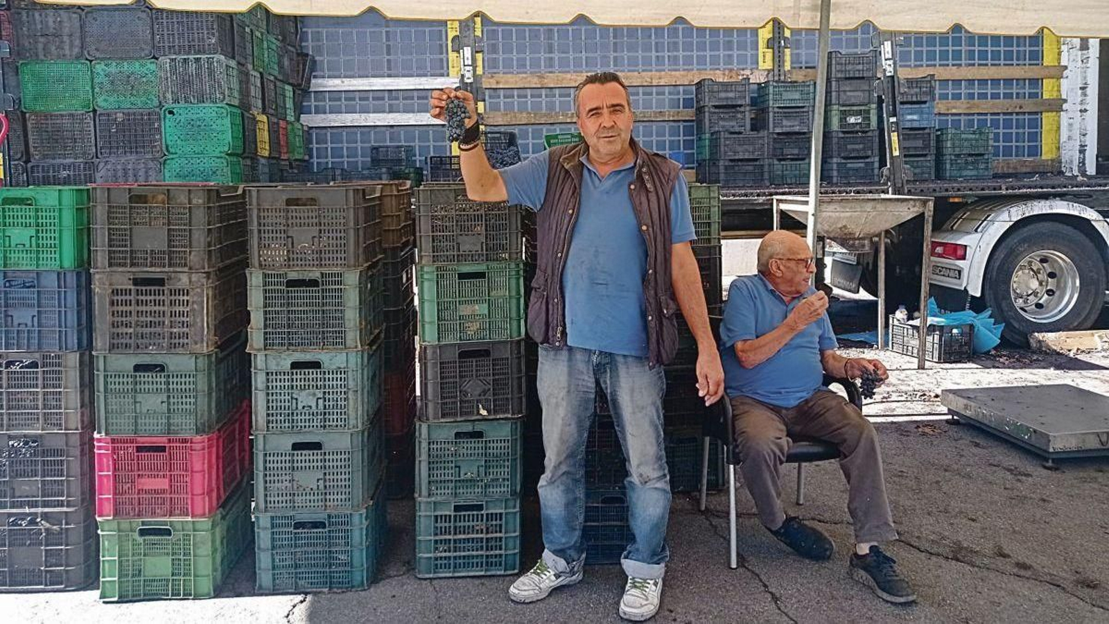 Ricardo muestra un racimo de las uvas que tiene a la venta, con su padre Evaristo al lado.
