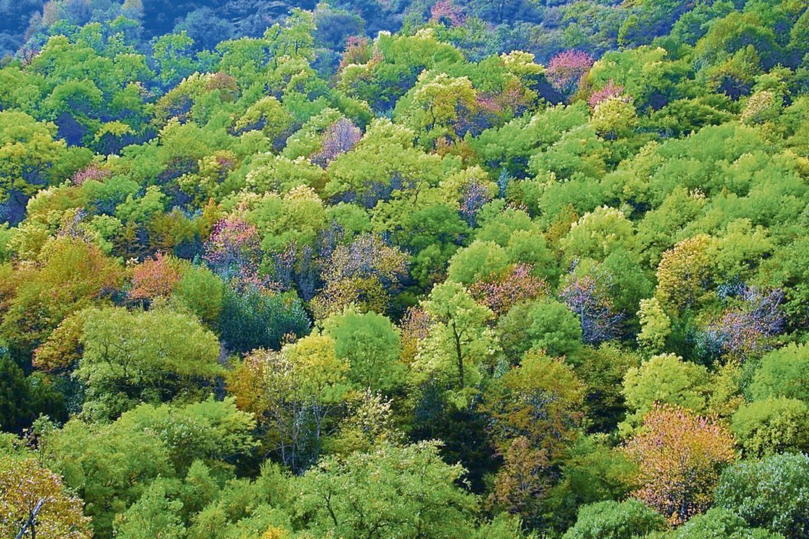 O reparto en tres anualidades permitirá aos xestores dos proxectos desenvolver a súa idea con maior marxe.