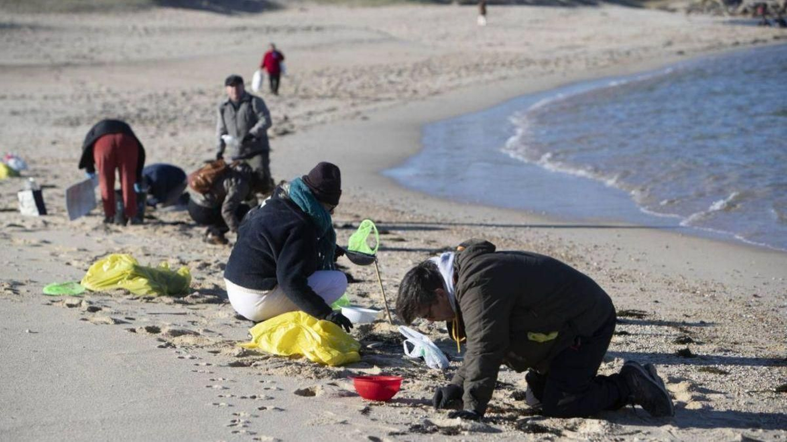 Voluntarios recogen pélets en una playa gallega en enero de 2023.