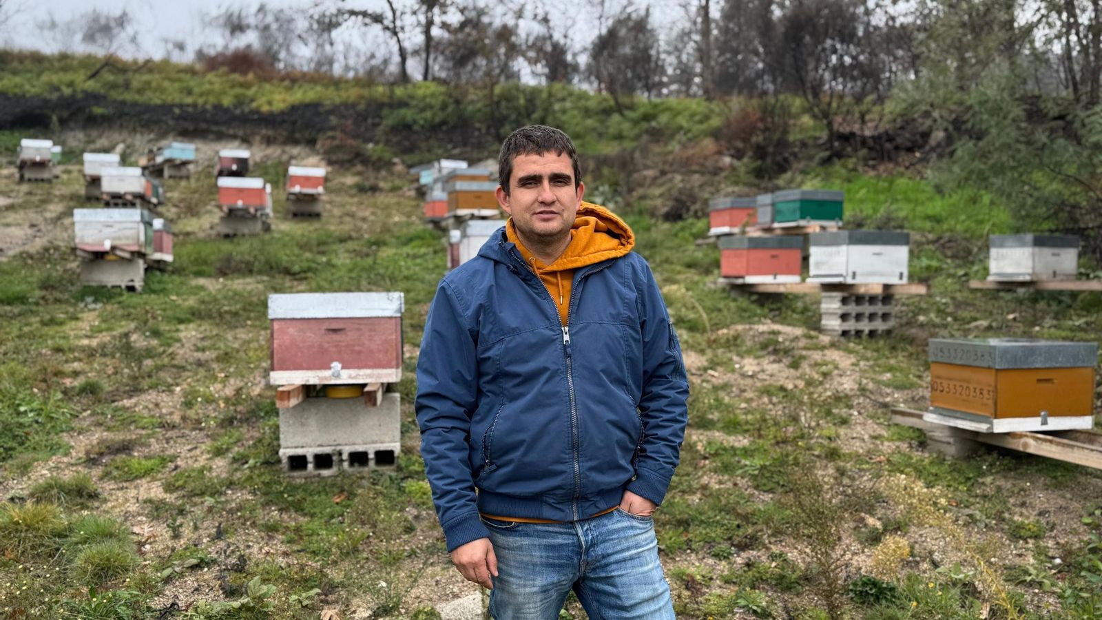 Roberto Santana en una de las parcelas en Oimbra en las que posee colmenas.