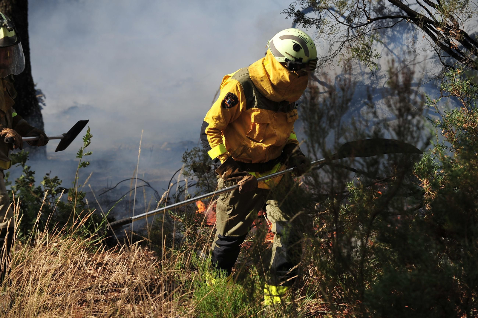 Galería | Despliegue de medios para extinguir un incendio en Rante