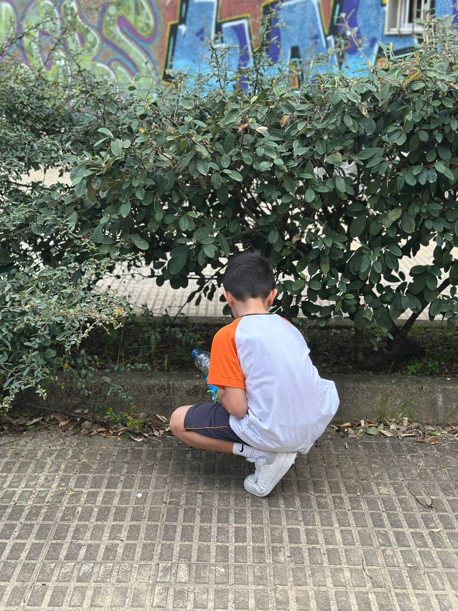 Actividad de Ecovigilantes