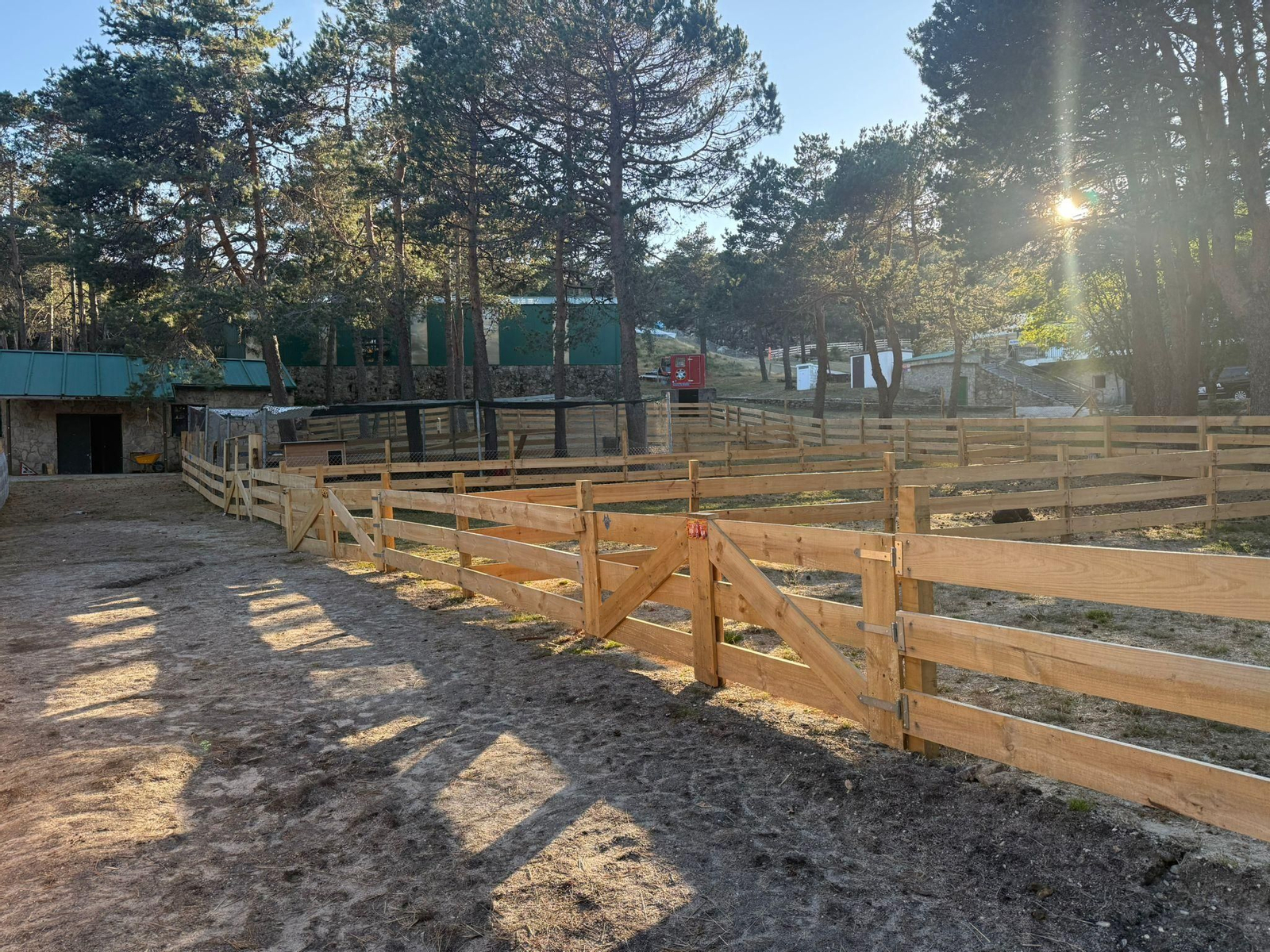 Galería | Gallinas, pavos reales y cabras enanas: los peculiares compañeros de la granja escuela de Manzaneda