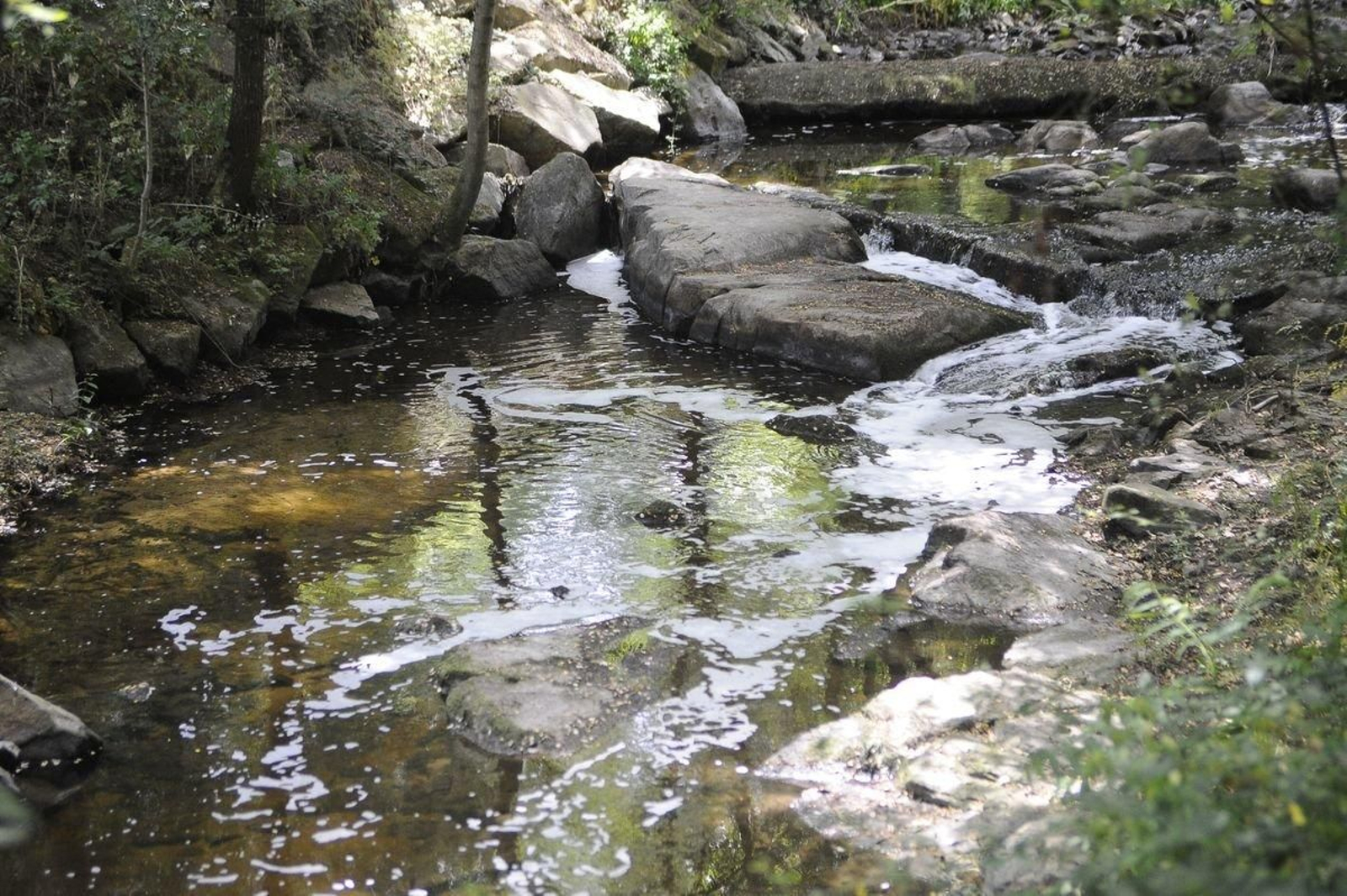 10.68.110.202-archive-2019-07-07-mtp0765_resultado