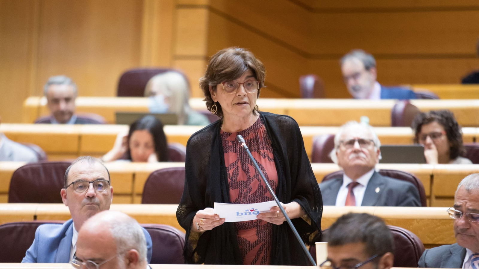 A senadora do BNG, Carme da Silva, nunha sesión.