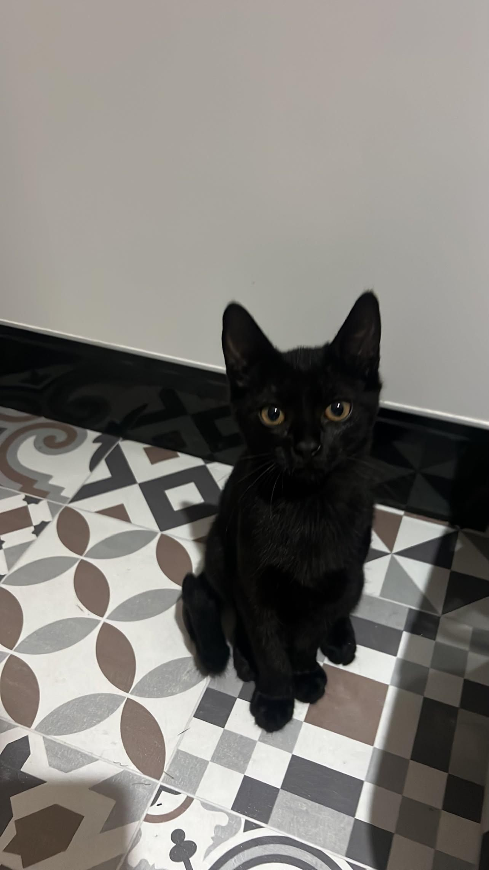 Greta