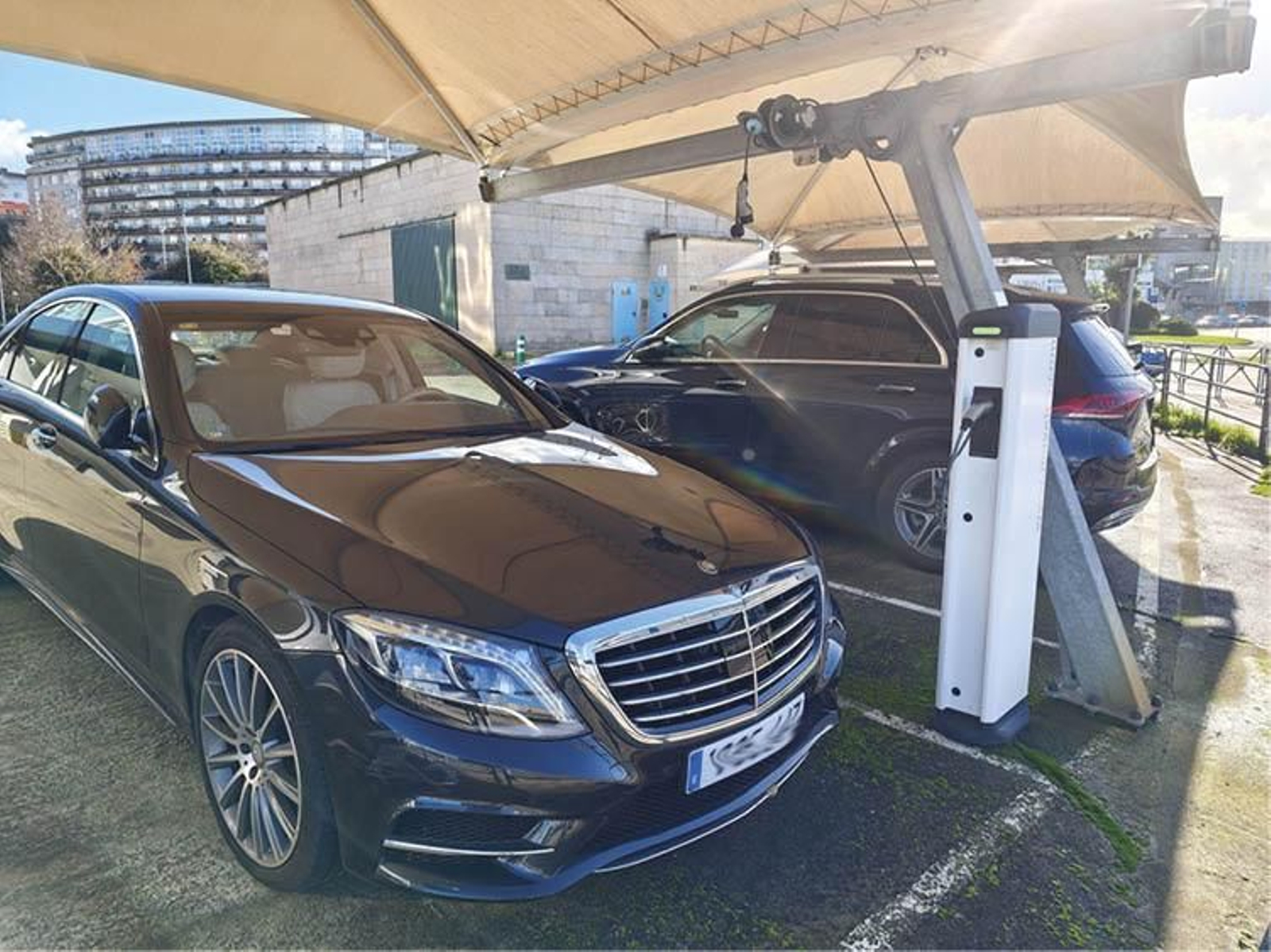 Coches eléctricos en plena recarga