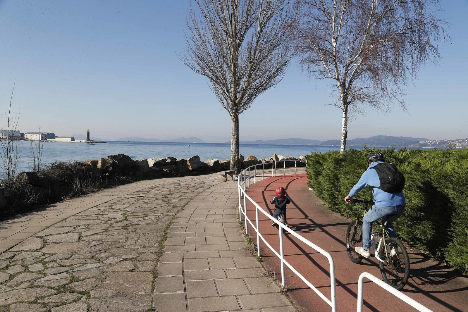 Alrededor de los árboles se han colocado protecciones y piedras y también el resto del paseo ya presenta un mejor aspecto general.