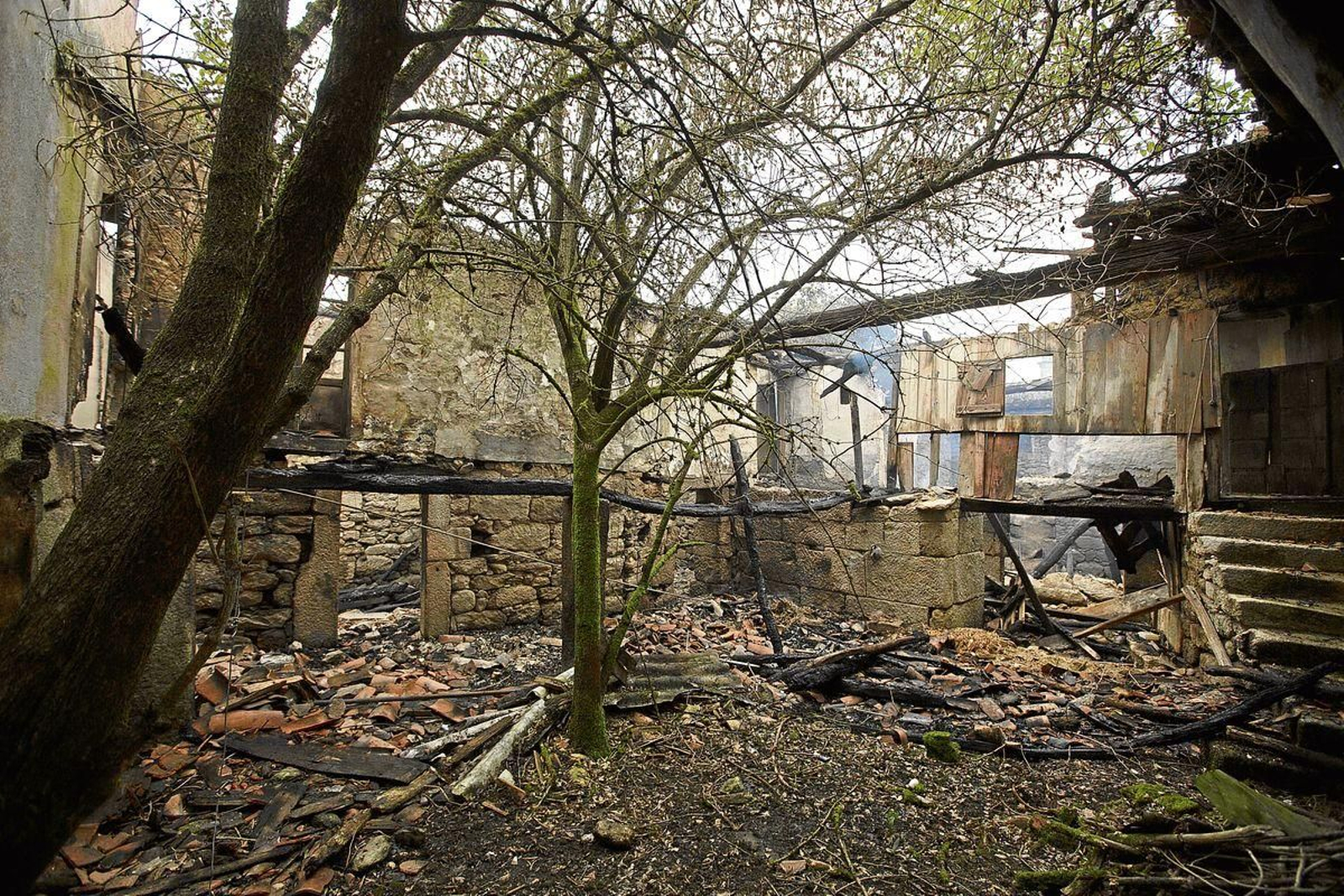 20200914202931771_resultado