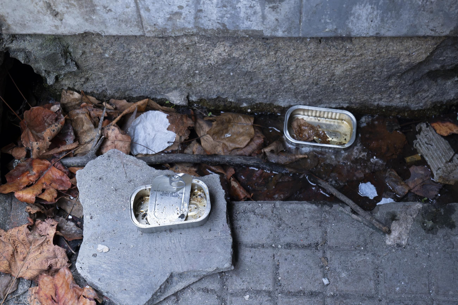 Galería | La vida bajo tierra en el túnel de la estación Empalme de Ourense