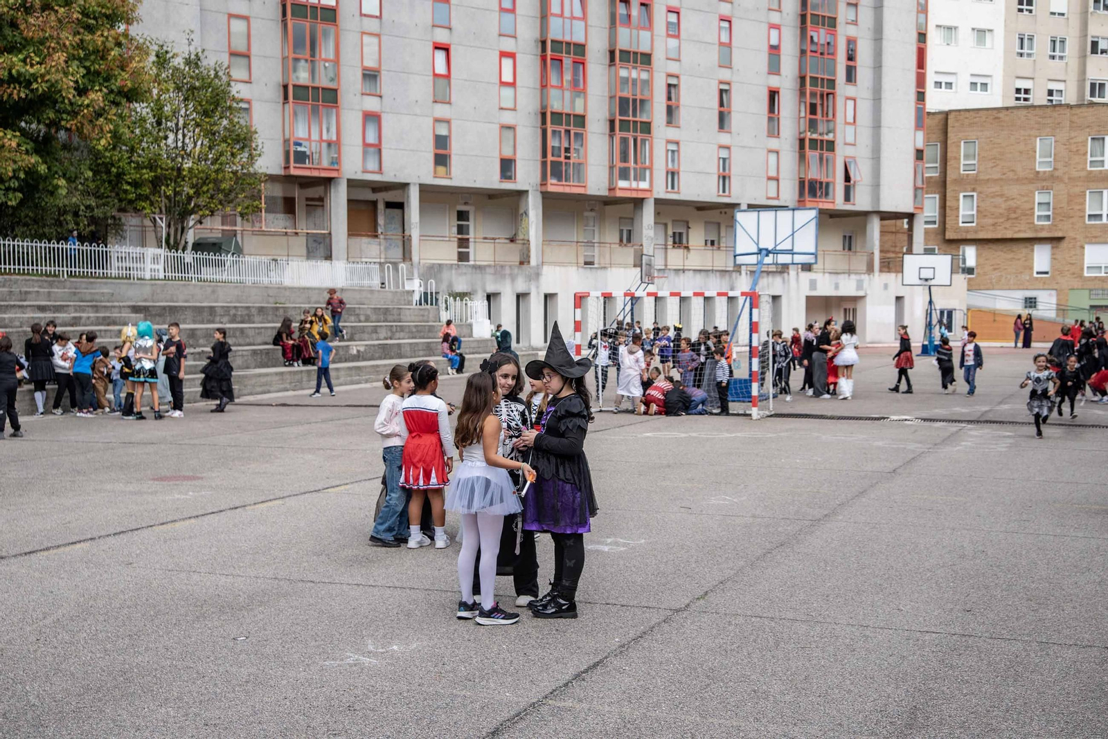 Galería | Samaín y magosto se juntan en la celebración festiva del CEIP Pintor Laxeiro de Vigo