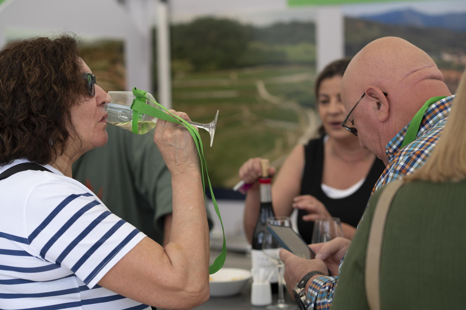 Ambiente festivo, brindis y degustaciones en el recinto de la Alameda de Ribadavia durante la celebración de la 63ª Feira do Viño do Ribeiro