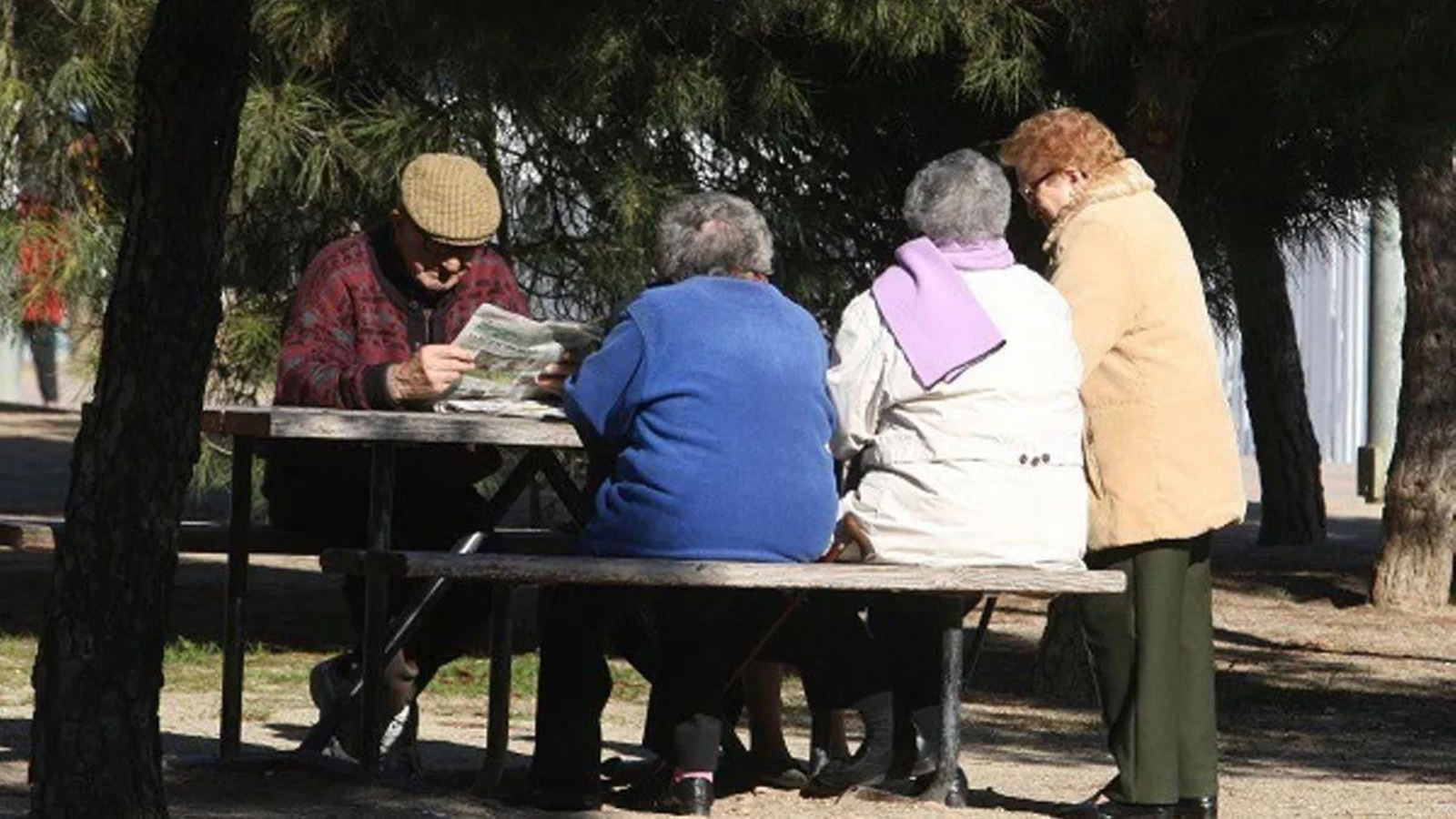 Un grupo de pensionistas disfrutan del día en un parque de Madrid.
