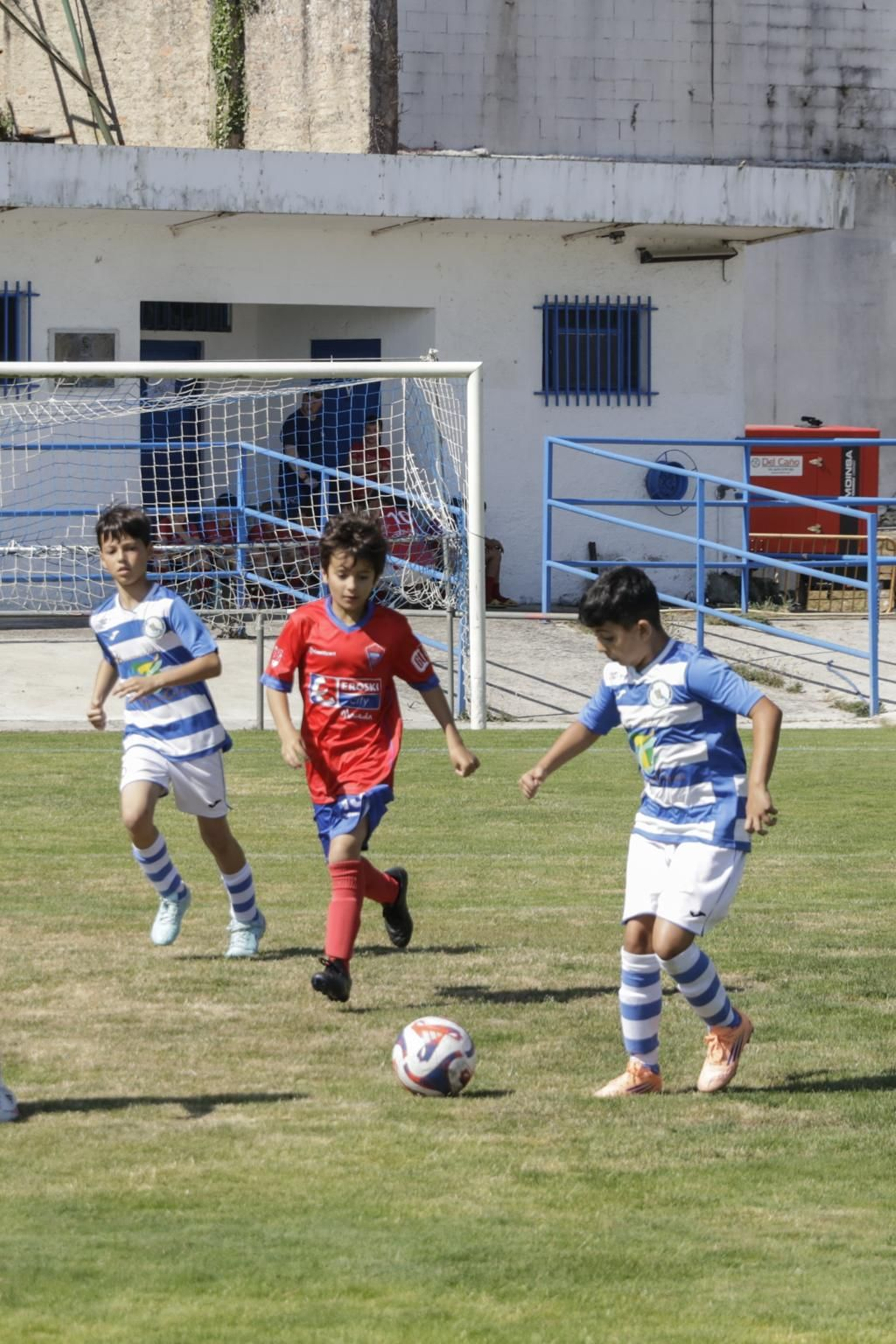 Los pequeños vibraron en San Rosendo con el Trofeo de fútbol Concello de Celanova