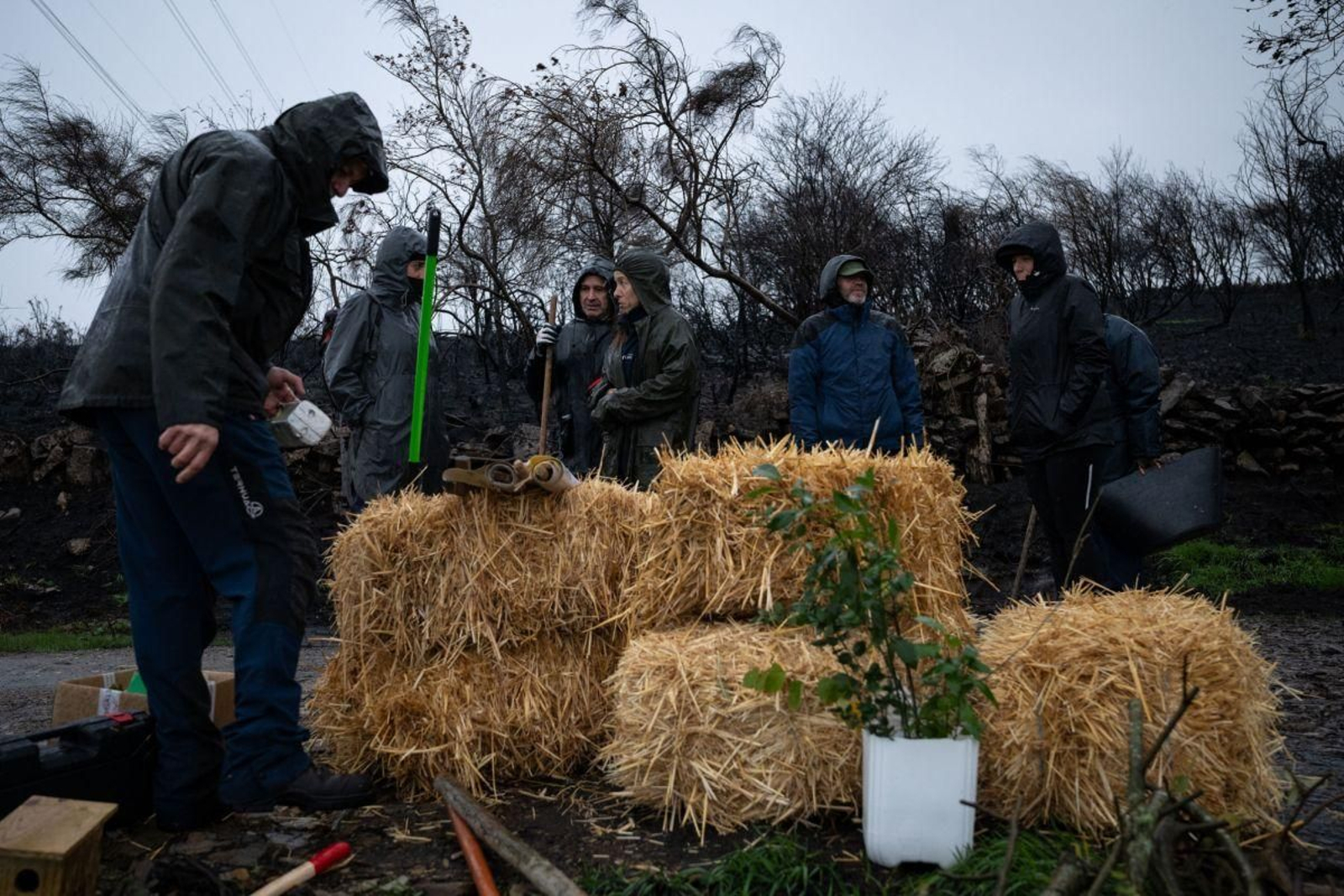 Algunos de los participantes junto a las alpacas que actúan de filtro.