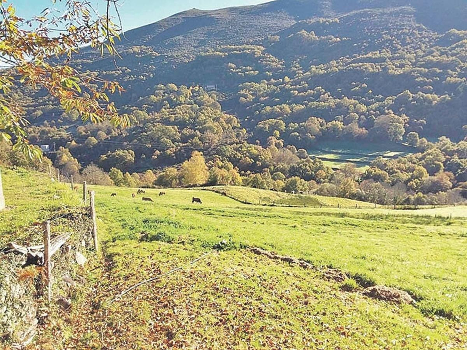 Localización donde se impulsará una nueva aldea modelo en Vilariño.