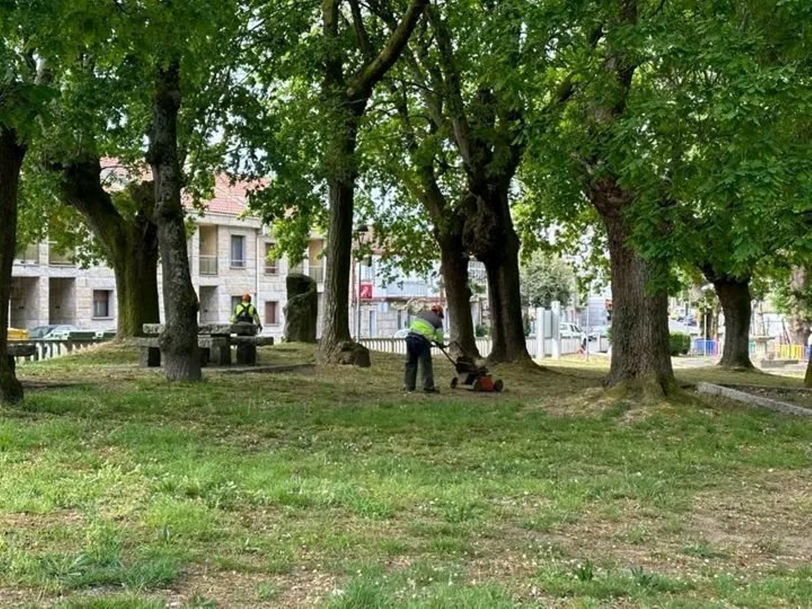 Miembros de Aspamadis durante una jornada de mantenimiento.