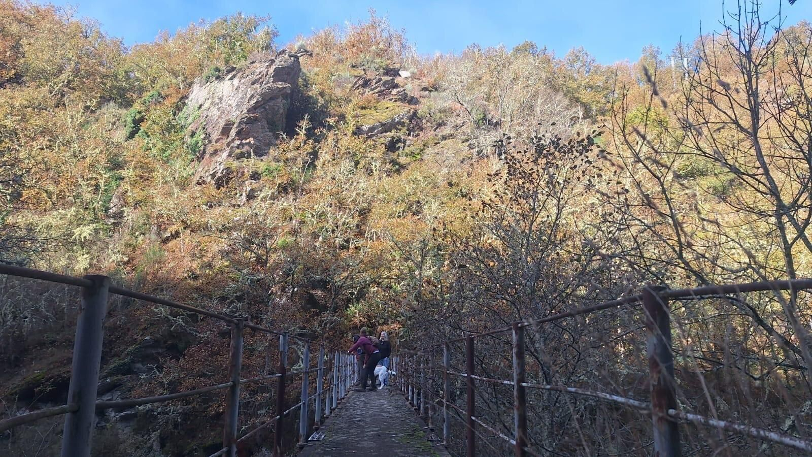 Un camino lleno de vida.