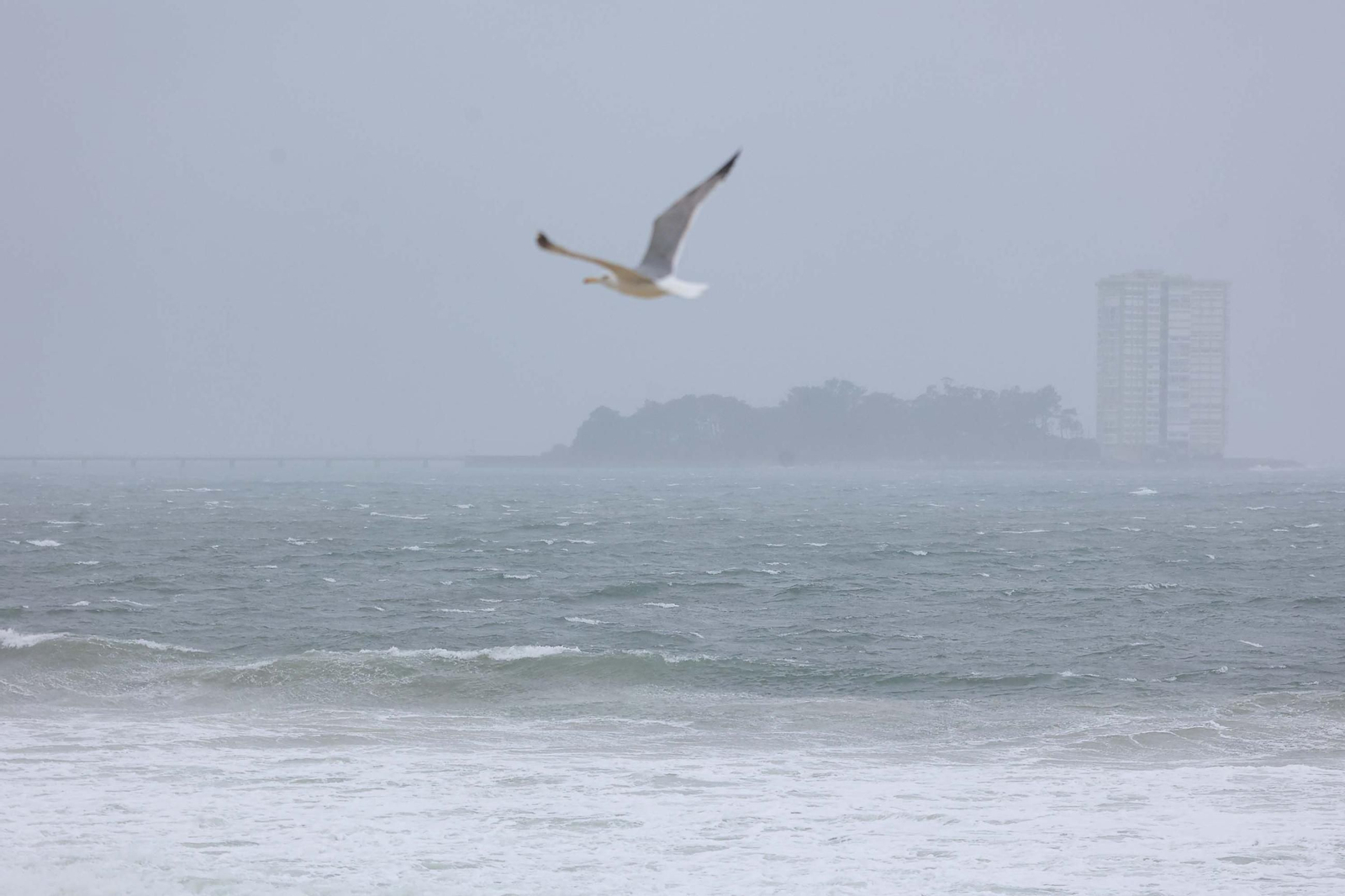 GALERÍA | Los estragos de la borrasca Herminia en Vigo