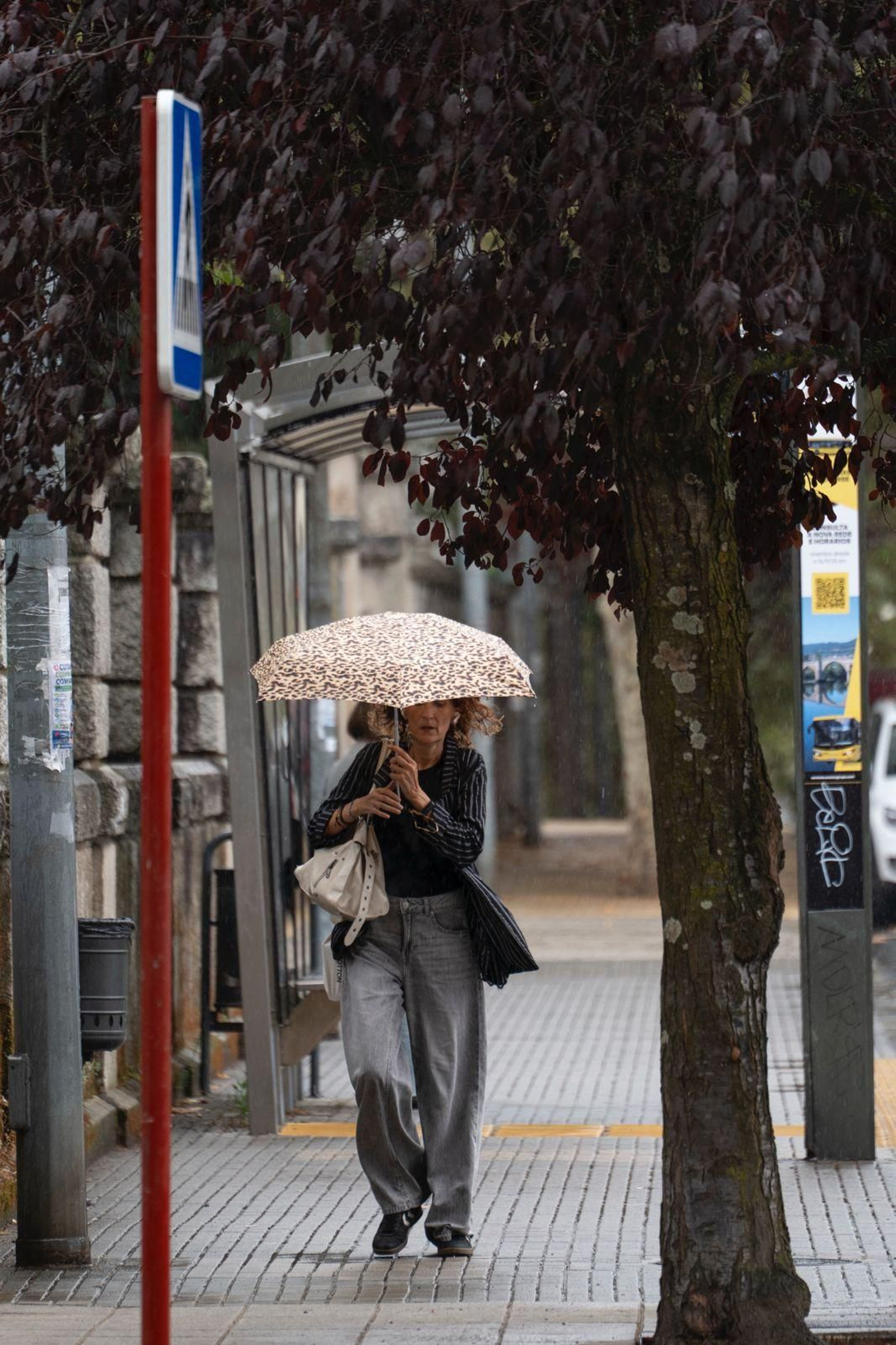 Galería | Las lluvias dan un respiro en los termómetros de Ourense