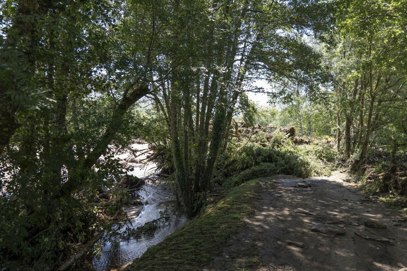 Zona del regato afectado en la aldea de O Castro.
