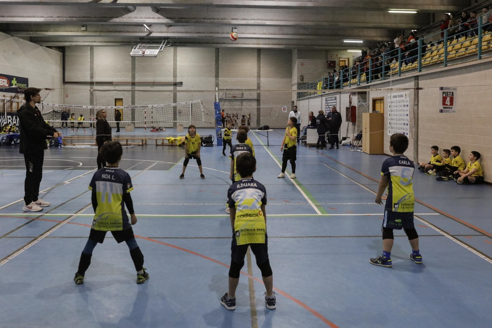 Galería | Voleibol, en fotos