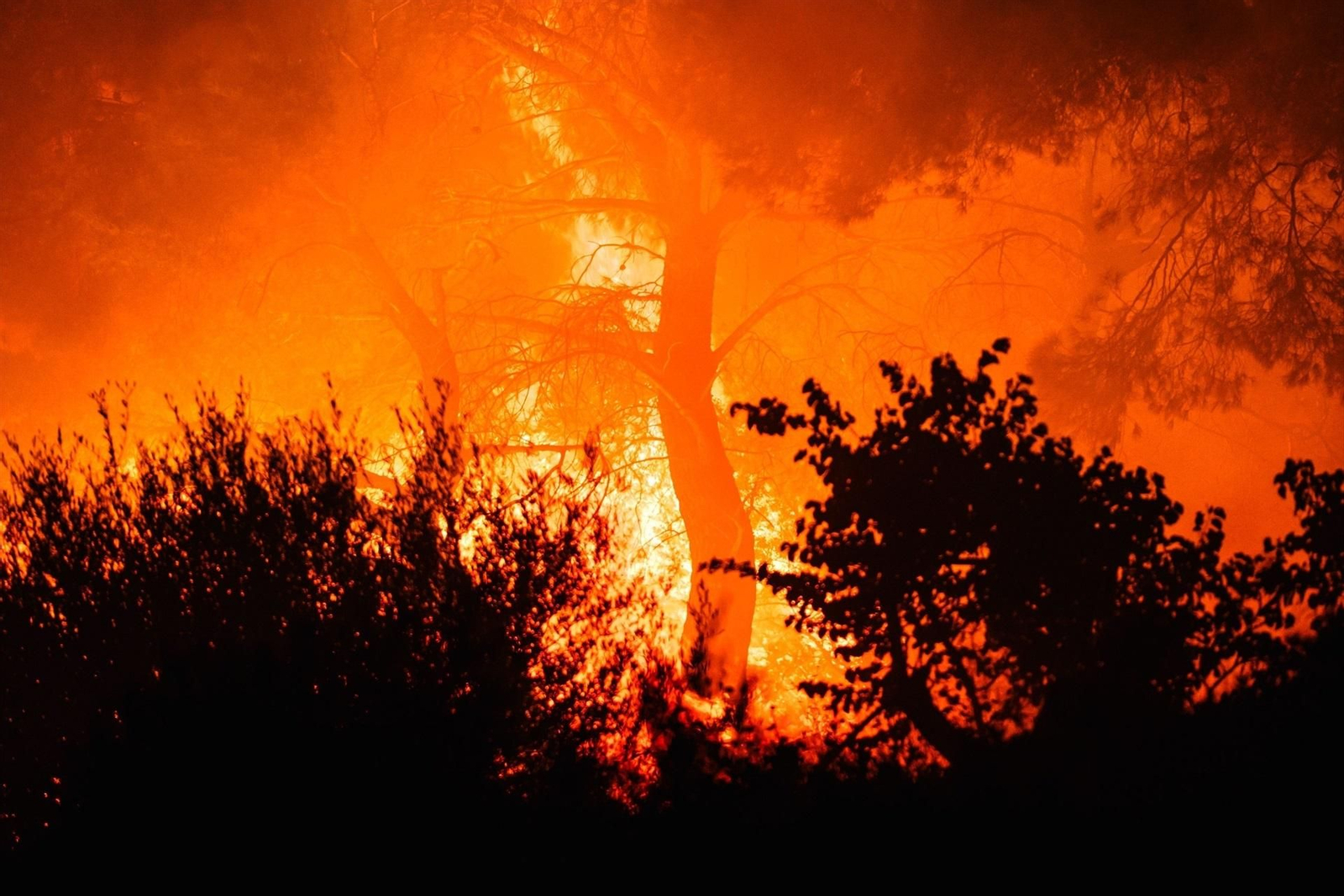 Más de 11.000 hectáreas han ardido al noroeste de Atenas