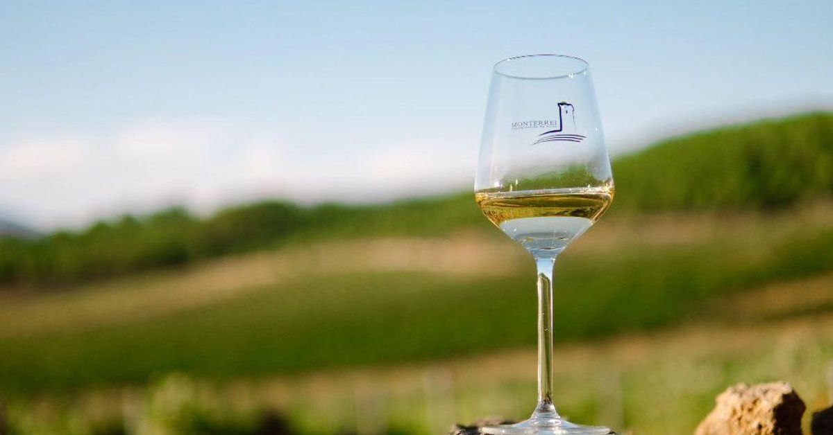 La D.O. Monterrei se suma al Día Mundial del Enoturismo con una cata