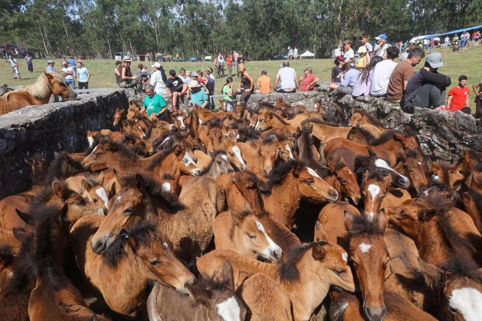 Mougás cerró la temporada de curros con casi 700 caballos