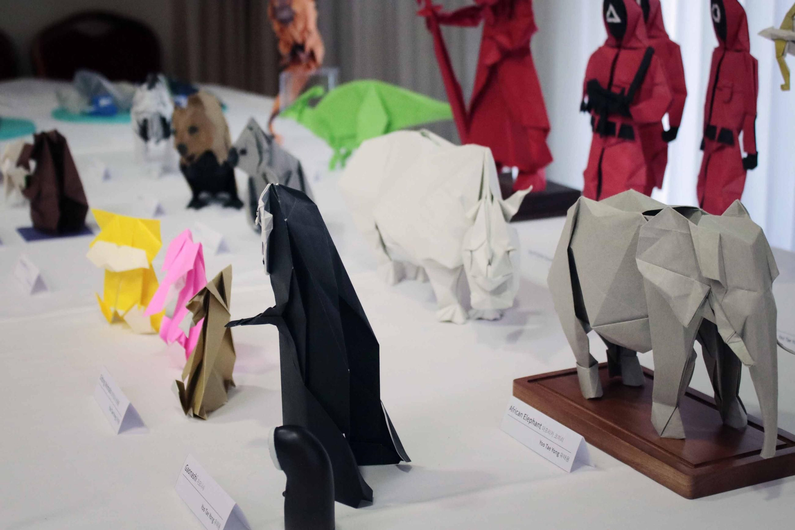 Galería | Convención de papiroflexia en Vigo