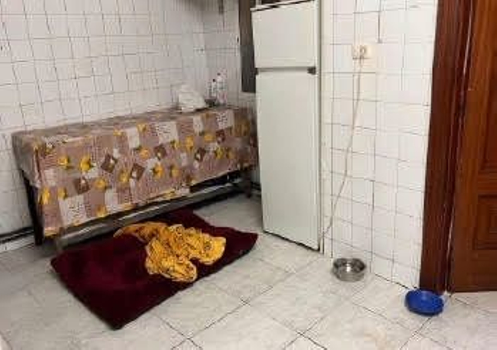 Galería | Fotos del interior del club de alterne El Descanso en el que la Policía Nacional desmanteló una red de prostitución