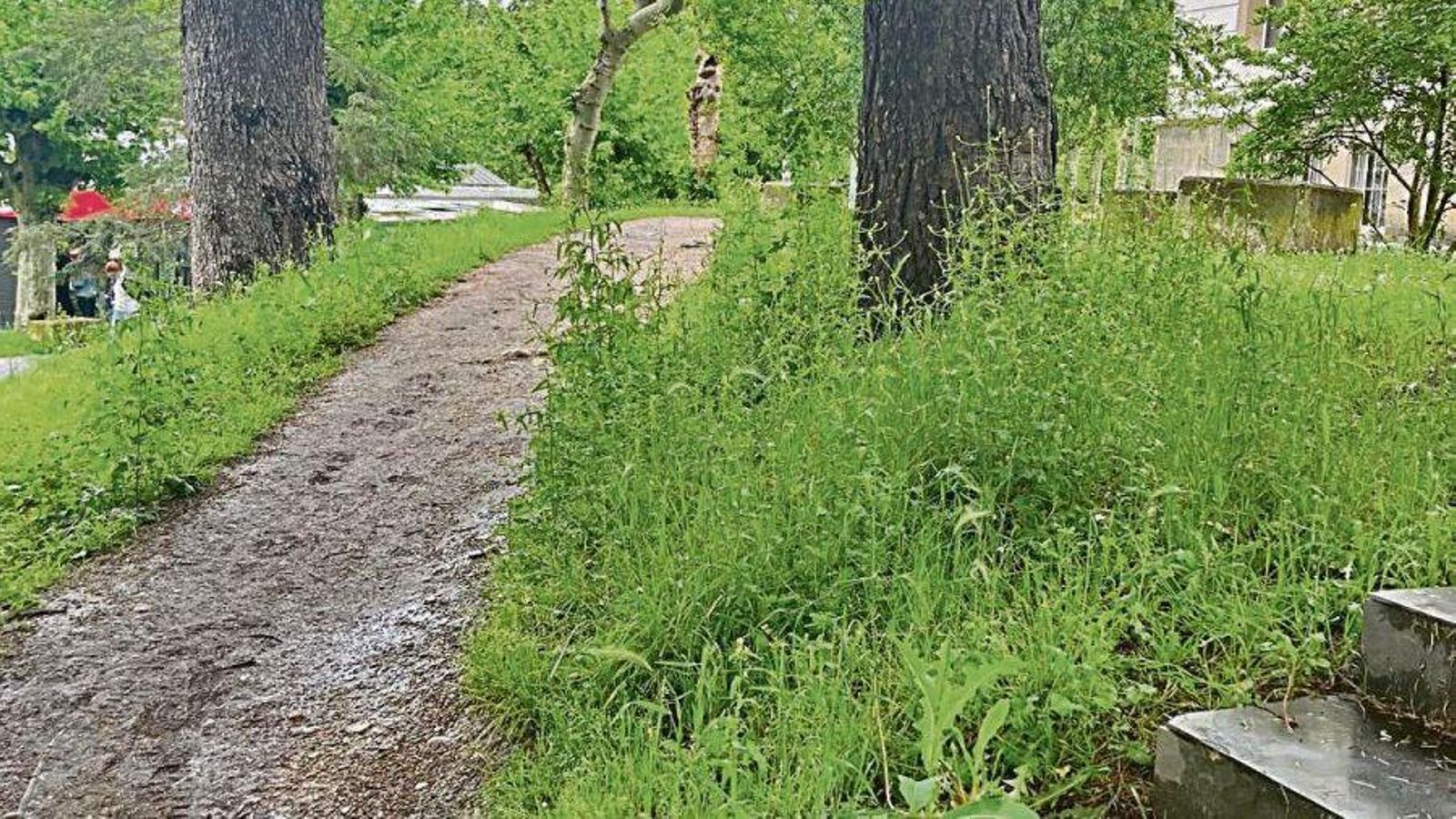 Un Campus sin cuidados