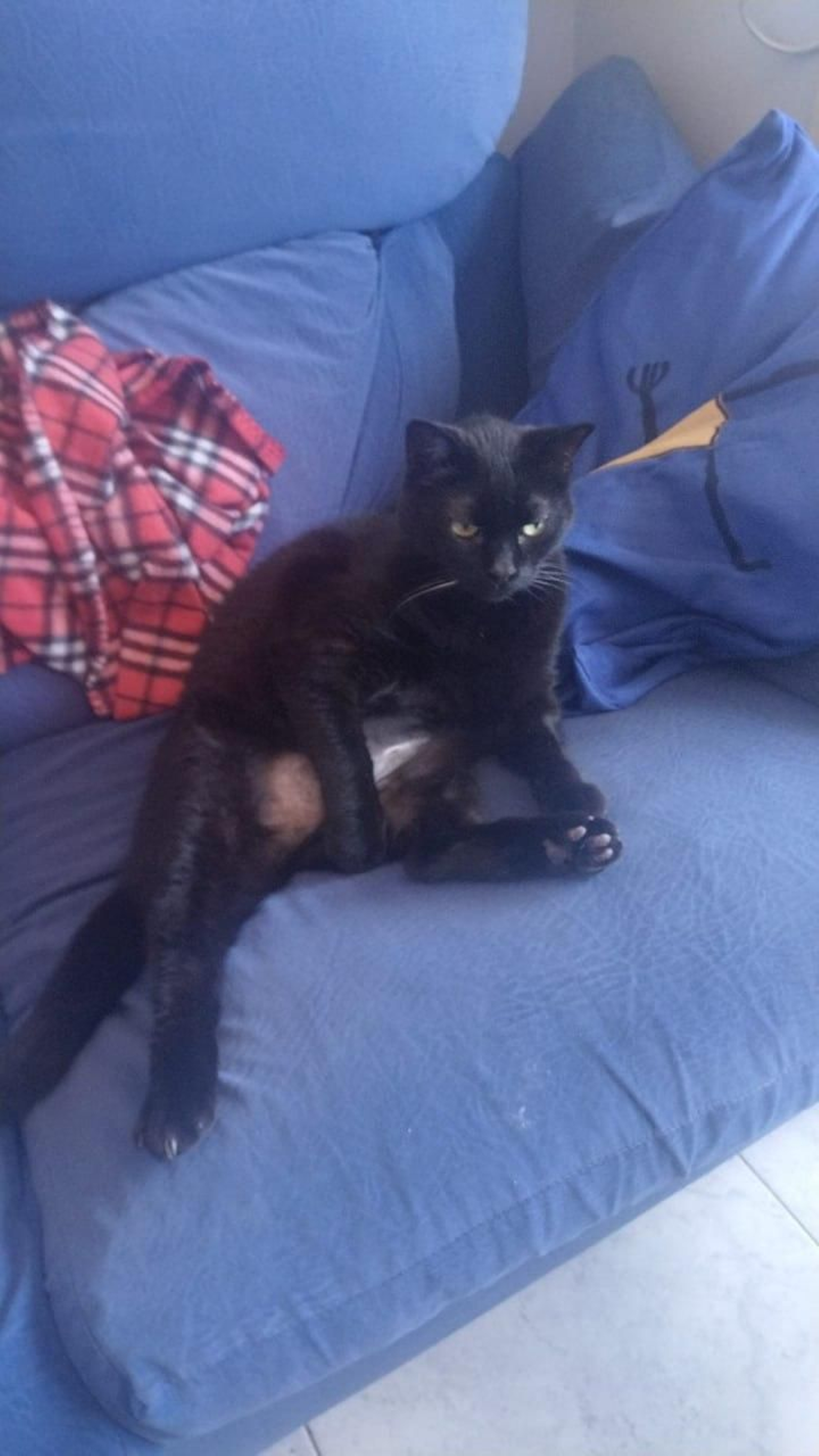 Speed.