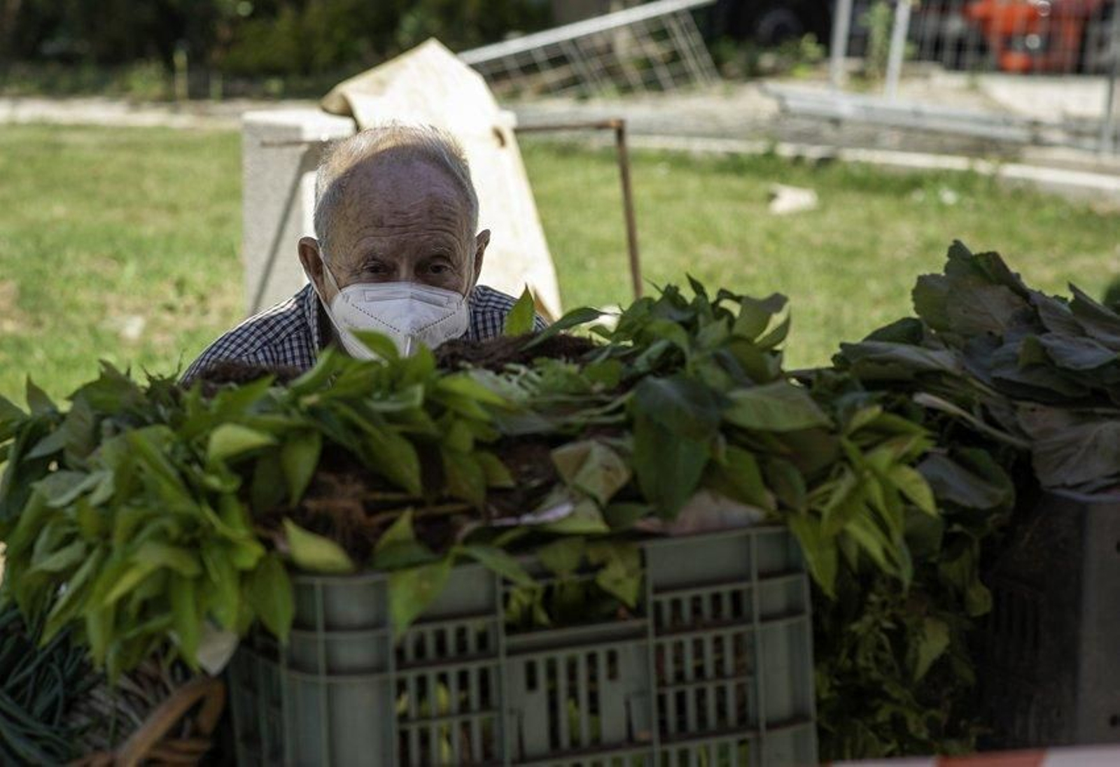 Feria en Xinzo. Fotos Martiño Pinal