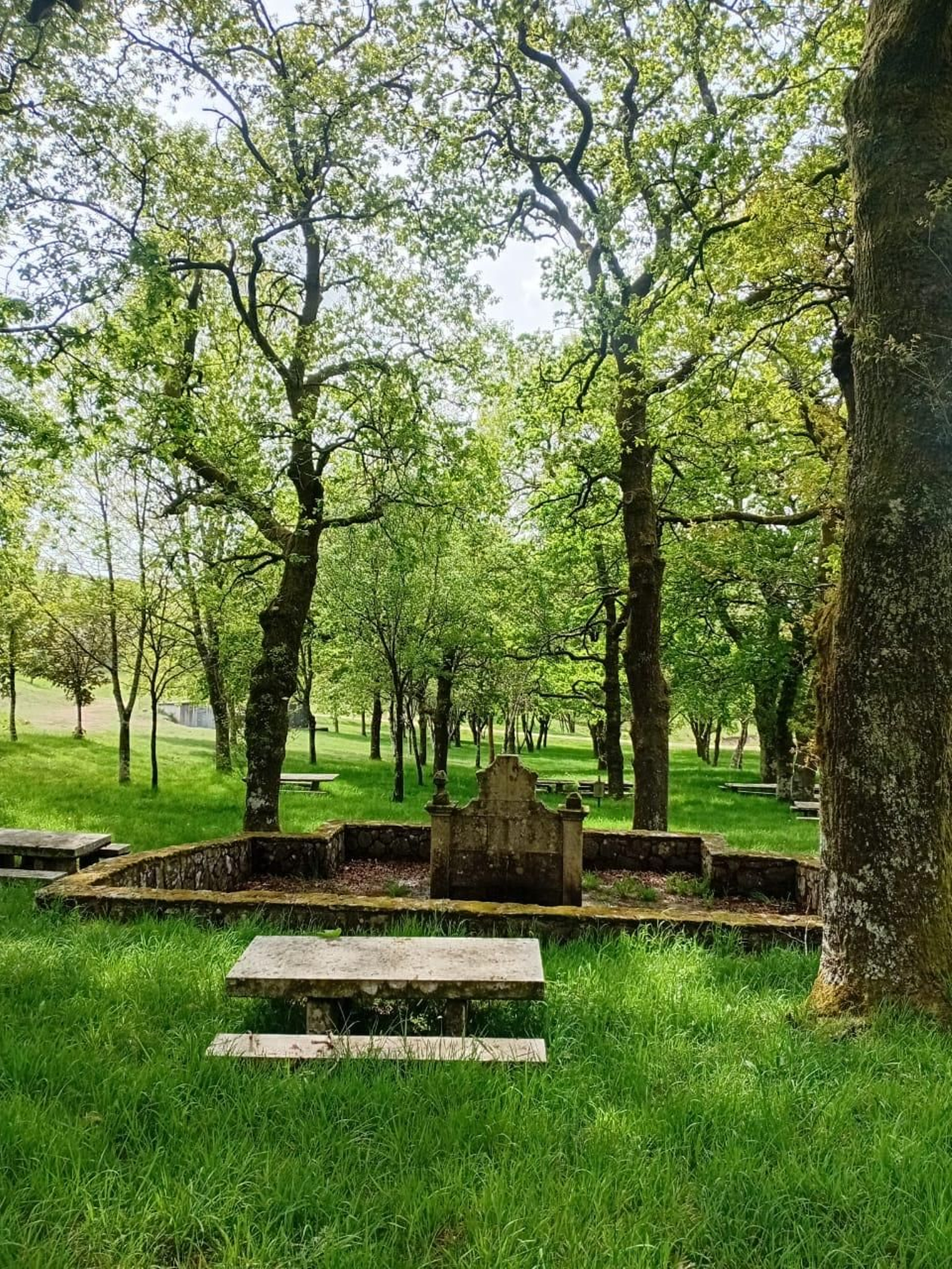 Campo de la fiesta de la Peña de Francia